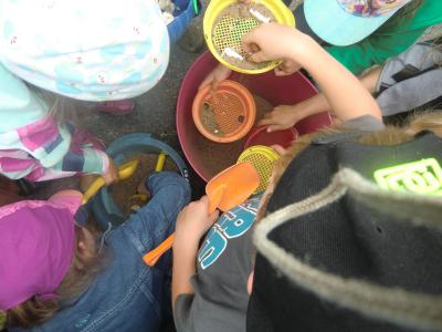 Foto des Albums: Abschlussfest Klasse 2a