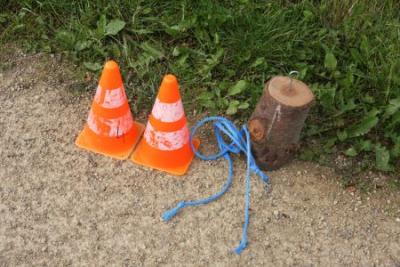 Foto des Albums: Stadtpark- und Schlossteichrallye