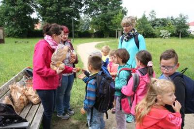 Foto des Albums: Stadtpark- und Schlossteichrallye