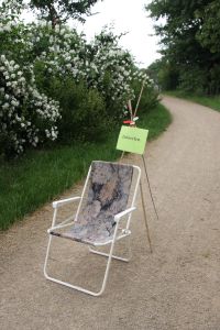 Foto des Albums: Stadtpark- und Schlossteichrallye