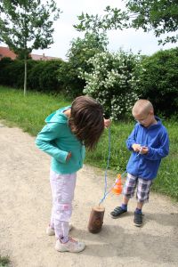 Foto des Albums: Stadtpark- und Schlossteichrallye