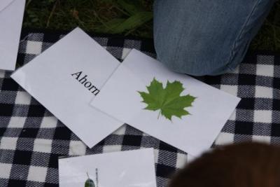 Foto des Albums: Stadtpark- und Schlossteichrallye