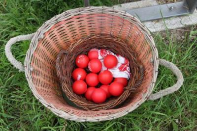 Foto des Albums: Stadtpark- und Schlossteichrallye