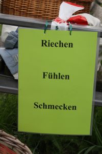 Foto des Albums: Stadtpark- und Schlossteichrallye