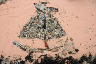 Foto des Albums: Tag des Meeres 2016