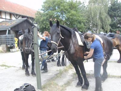 Foto des Albums: Wochenendritt zum Gut Nennhof (26.06.2016)