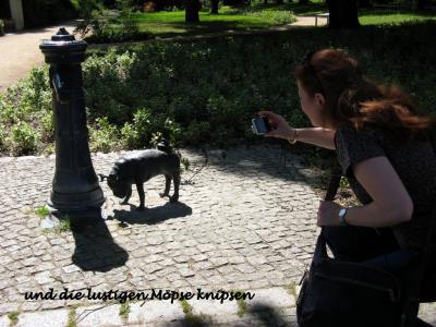 Foto des Albums: Gymnastikfrauen on tour in Brandenburg/Havel