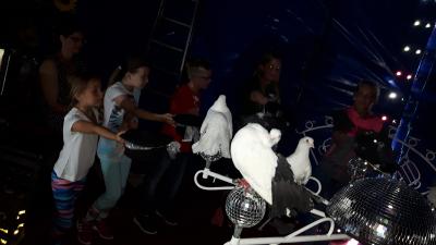 Foto des Albums: Trainingstage zum Zirkus