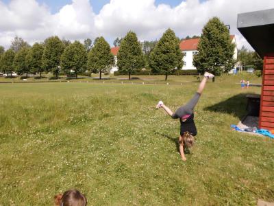 Foto des Albums: Sportfest