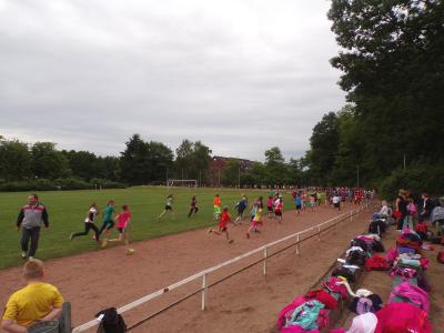 Foto des Albums: Sportfest