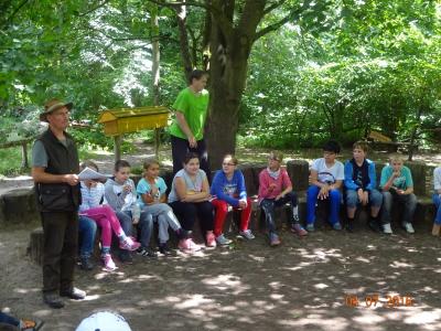 Foto des Albums: Waldjugendspiele Klasse 4- erste Fotos