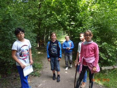 Foto des Albums: Waldjugendspiele Klasse 4- erste Fotos