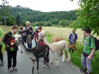 Bild der Galerie