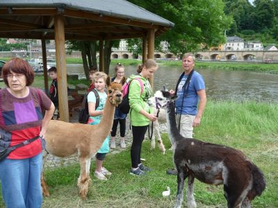 Foto des Albums: Abschlussfahrt nach Sebnitz
