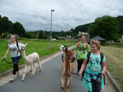 Foto des Albums: Abschlussfahrt nach Sebnitz