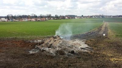 Foto des Albums: Osterfeuer 2015