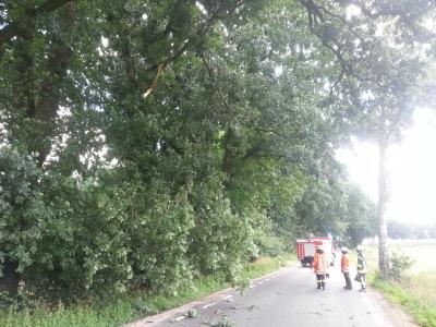 Foto des Albums: Einsatz Baum auf Straße Alte Dorfstraße