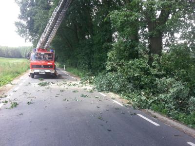 Foto des Albums: Einsatz Baum auf Straße Alte Dorfstraße