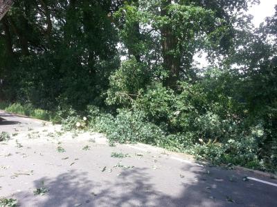 Foto des Albums: Einsatz Baum auf Straße Alte Dorfstraße