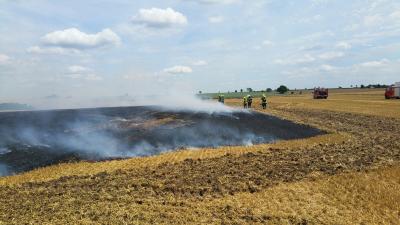 Foto des Albums: Flächenbrand