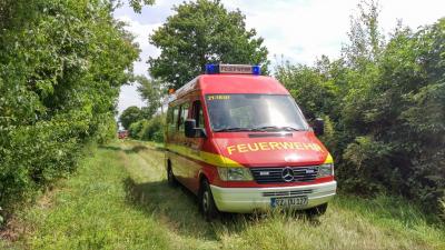 Foto des Albums: Flächenbrand