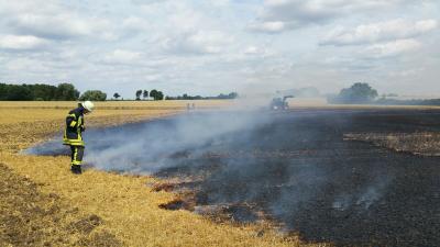 Foto des Albums: Flächenbrand