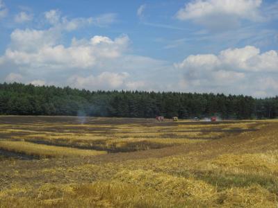 Foto des Albums: Einsatz Flächenbrand