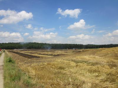 Foto des Albums: Einsatz Flächenbrand