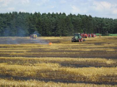 Foto des Albums: Einsatz Flächenbrand