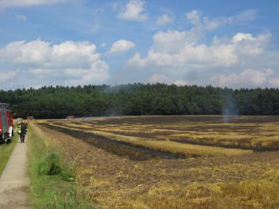 Foto des Albums: Einsatz Flächenbrand