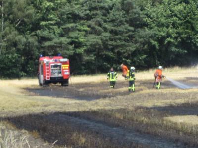 Foto des Albums: Einsatz Flächenbrand