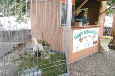 Foto des Albums: Heimat- und Schützenfest 2016 OT Schadeleben