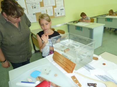 Foto des Albums: Forscherstunden zum Thema: „Schwimmen und Sinken“ (13. 07. 2016)