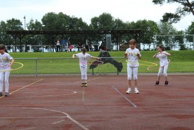 Foto des Albums: 2016 TSG Sommerfest (03.07.2016)