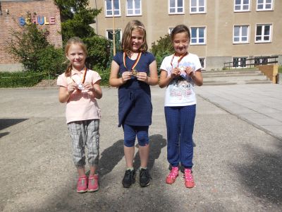 Foto des Albums: Auswertung Sportfest vom 8. Juli 2016