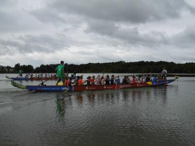 Foto des Albums: Drachenboot