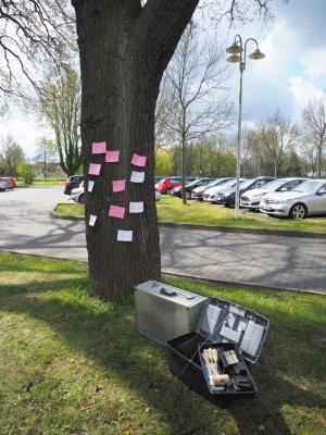 Foto des Albums: Tag des Baumes 25.04.2016
