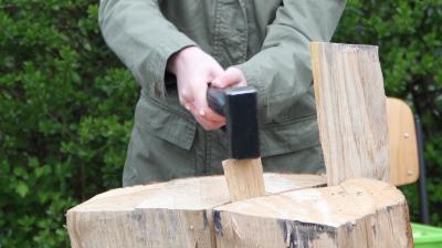Foto des Albums: Tag des Baumes 25.04.2016