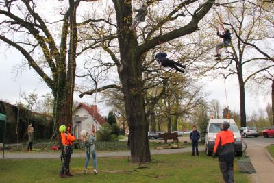 Foto des Albums: Tag des Baumes 25.04.2016