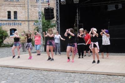 Foto des Albums: Heimat-und Vereinsfest OT Hoym
