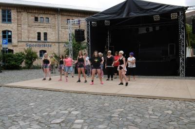 Foto des Albums: Heimat-und Vereinsfest OT Hoym
