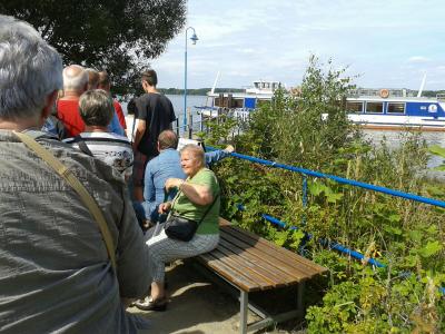 Foto des Albums: Busreise in die Senftenberger Seenlandschaft am 20.08.2016