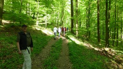 Foto des Albums: Wanderung zum Erbersnackenturm