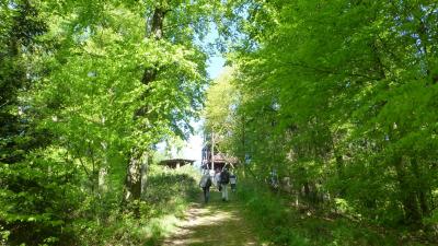 Foto des Albums: Wanderung zum Erbersnackenturm