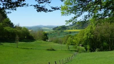 Foto des Albums: Wanderung zum Erbersnackenturm