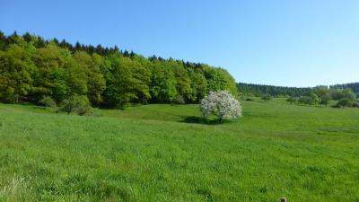 Foto des Albums: Wanderung zum Erbersnackenturm