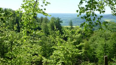 Foto des Albums: Wanderung zum Erbersnackenturm