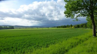 Foto des Albums: Kreispokalsieg