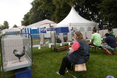Foto des Albums: Heimat-Vereins- und Schützenfest