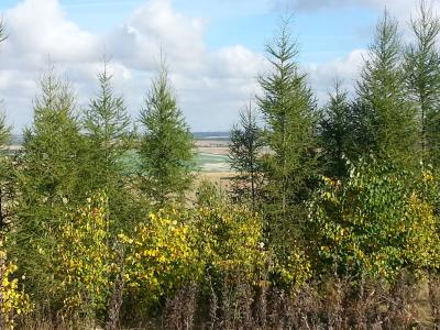 Foto des Albums: Wandertag der 1. und 2. Klasse